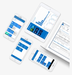 Business Needs Change Overnight Your Systems Need The - Microsoft Dynamics Nav #822878