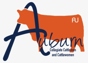 Auburn University #824306