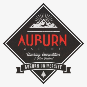 Turtle Music Festival #824421