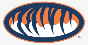 Sponsored Links - Auburn Tigers #824524