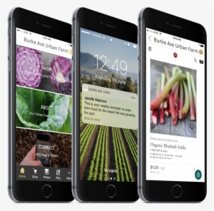 3 Cellphones - Mobile Phone #825706