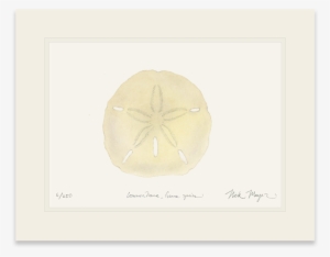 Ivory Sand Dollar - Library #825807
