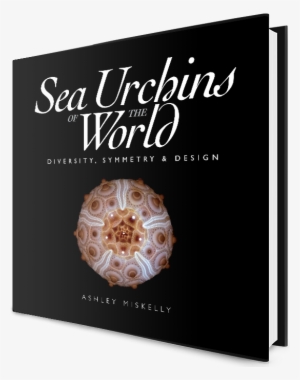 Sea Urchins Of The World - Sea Urchins Of The World: Diversity, Symmetry #825893 Sea Urchins Of The World - Sea Urchins Of The World: Diversity, Symmetry #825893