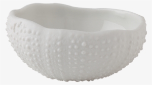 Bowl Mini Sea Urchin 5 X 5 Cm H - Centimetre #826004