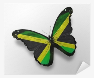 Jamaican Flag Butterfly, Isolated On White Poster • - Vybz Kartel Colouring This Life #826120