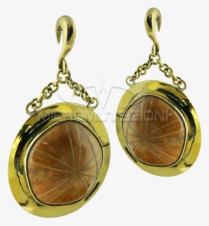 Fossil Sea Urchin In Brass Pendant Earrings Ear - Earring #826304