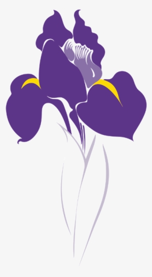 Icon Illustration Development - Iris Vector #826593