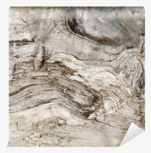 Graphic Transparent Drawing Wood Old - Stock Photography #826813