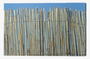 Old Cane Fence Texture Over Blue Sky Canvas Print • - Wood #826831
