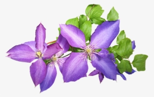 Leather Flower #826939