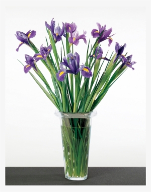 Blue Iris Loosely Arranged - Blue #827204