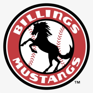 The Billing Mustangs Affiliation With The Cincinnati - Billings Mustangs #827752