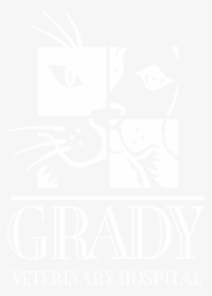 Cincinnati Veterinarian Dr - Grady Veterinary Hospital #827901
