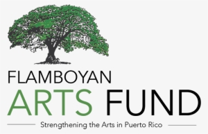 Ten Months After Hurricane Maria's Devastation In Puerto - Flamboyan #827922