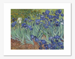 267 × 240 Pixels - Vincent Van Gogh Paintings #827983