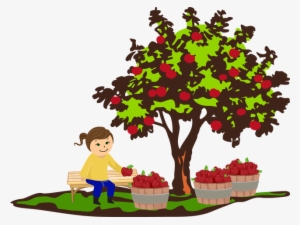 Apple Tree Clip Art - Apple Tree Cliparts #828123