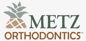 About Our Logo - Pineapple #828478