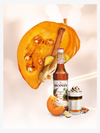 Monin Surup Pumpkin Spice #8200019