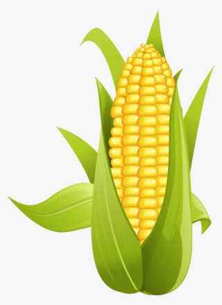 Corn On The Cob Sweet Clip Art - Corn Png #8200497