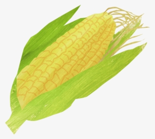 Corn And Bean Salad - Corn On The Cob #8200694