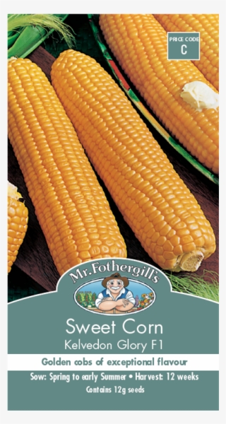 Mr Fothergill's Sweet Corn Kelvedon Glory Seeds - Seed #8201088