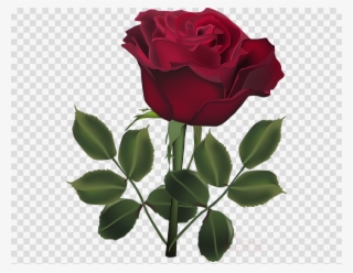 Flower Png Image Clipart - Logo Dream League Soccer 2018 #8201359