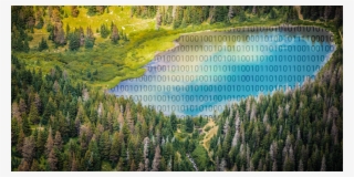 City Network Launches Object Storage With Regulatory - Lake #8202549