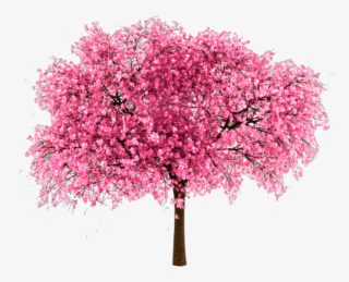Pink Sticker - Japanese Cherry Tree Png #8202991
