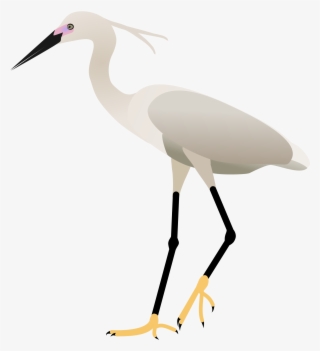 2000 X 2121 3 - Egret Png #8203852