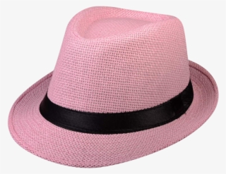 Fedora #8204146