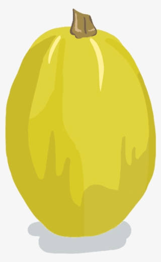 Potimarron - Spaghetti - Courgette Spaghetti Dessin #8205934