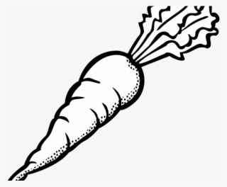 Carrot Clipart Black And White - Clip Art Carrot Black And White #8206691