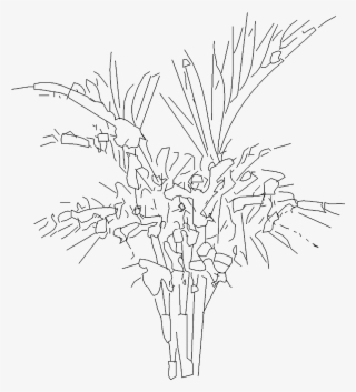 Bush Png Polantis #8207023