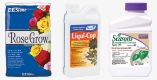 If You Are Looking To Add Roses To Your Garden, This - Rose Planting Soil #8207319