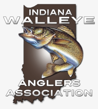 Walleye Logo #8207402