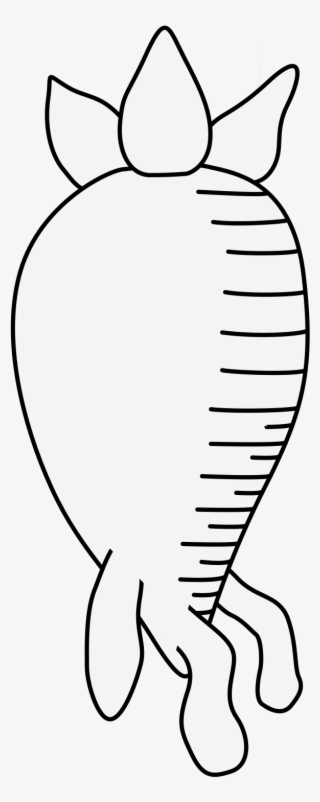 Carrot - Illustration #8207605