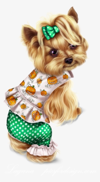 Little Pumpkin Yorkie - Yorkshire Terrier #8208877