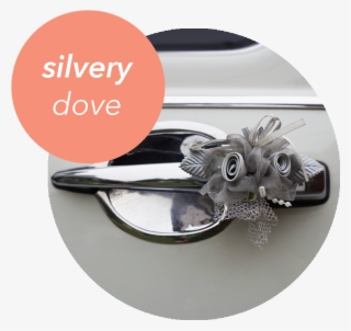 Silvery Dove - Titanium Ring #8209843