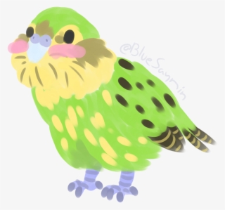 Parakeet Clipart Kakapo - Parrot #8210216