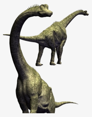 Picture - Brachiosaurus Skeleton 3d Model Download #8210302