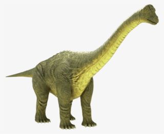 850 X 850 2 - Brontosaurus Png #8210746