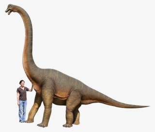 3x3m - Dinosaur Brachiosaurus Hd #8210793