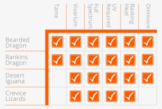 Why Are Some Species So Similar To Look After - Number #8211114