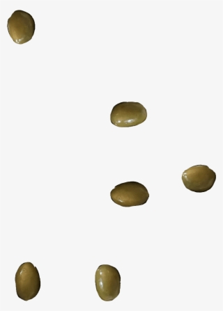 Happy Meal - Circle #8211151