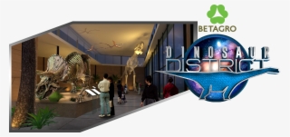 Explore The Skeletons Of Brachiosaurus, Triceratops - Interior Design #8211187