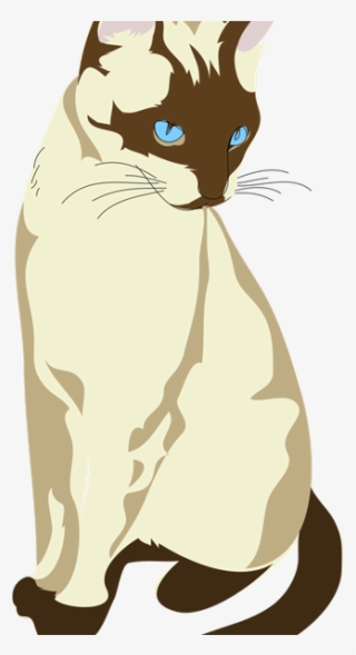Cat Drawing #8211627 Cat Drawing #8211627