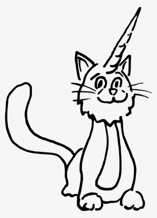 1786 X 2500 4 - Cat #8212128