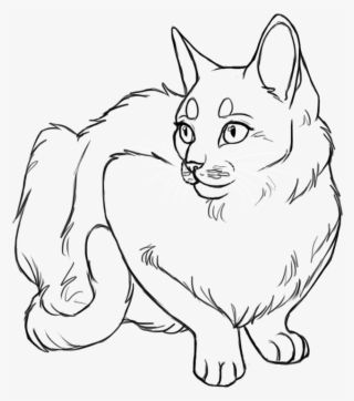 Line Drawing Cat Face - Base Cat Art #8212238