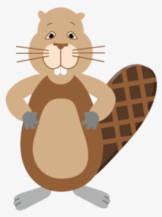 Beaver Straight - Cartoon #8212895