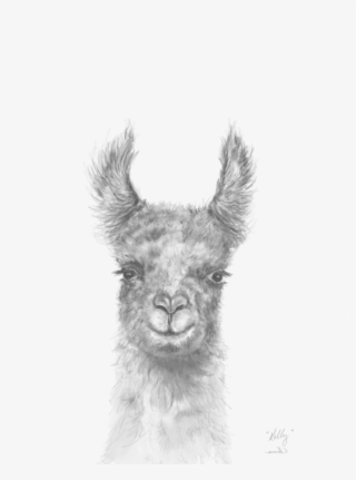 Bleed Area May Not Be Visible - Realistic Llama Drawing #8214679